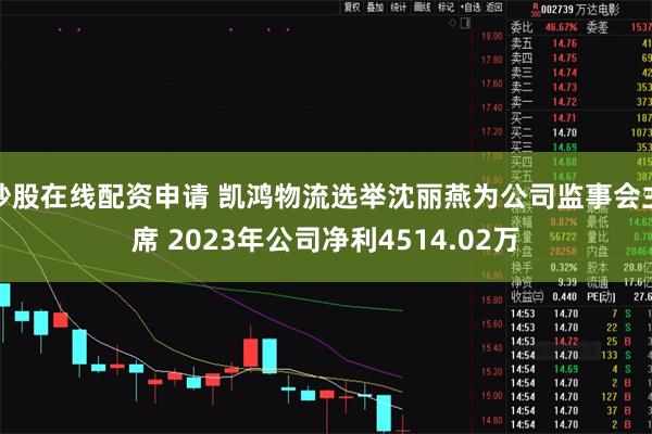 炒股在线配资申请 凯鸿物流选举沈丽燕为公司监事会主席 2023年公司净利4514.02万